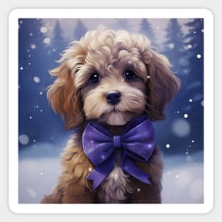 Arctic Cavoodle Sticker